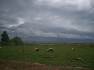 San Ignacio - Santa Rita (4)