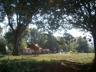 San Ignacio - Weekend Rio Tebicuary (4)